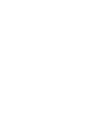 Metasport Logo